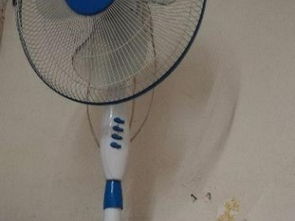 滬上家居生活圖鑒 從廚房用品到日用雜品，打造溫馨港灣